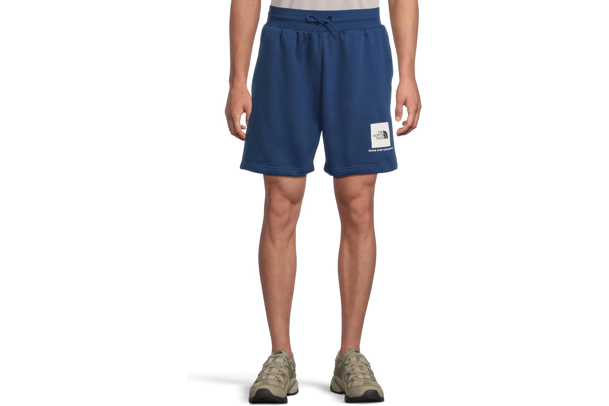Шорты The North Face Box NSE Regular Shorts
