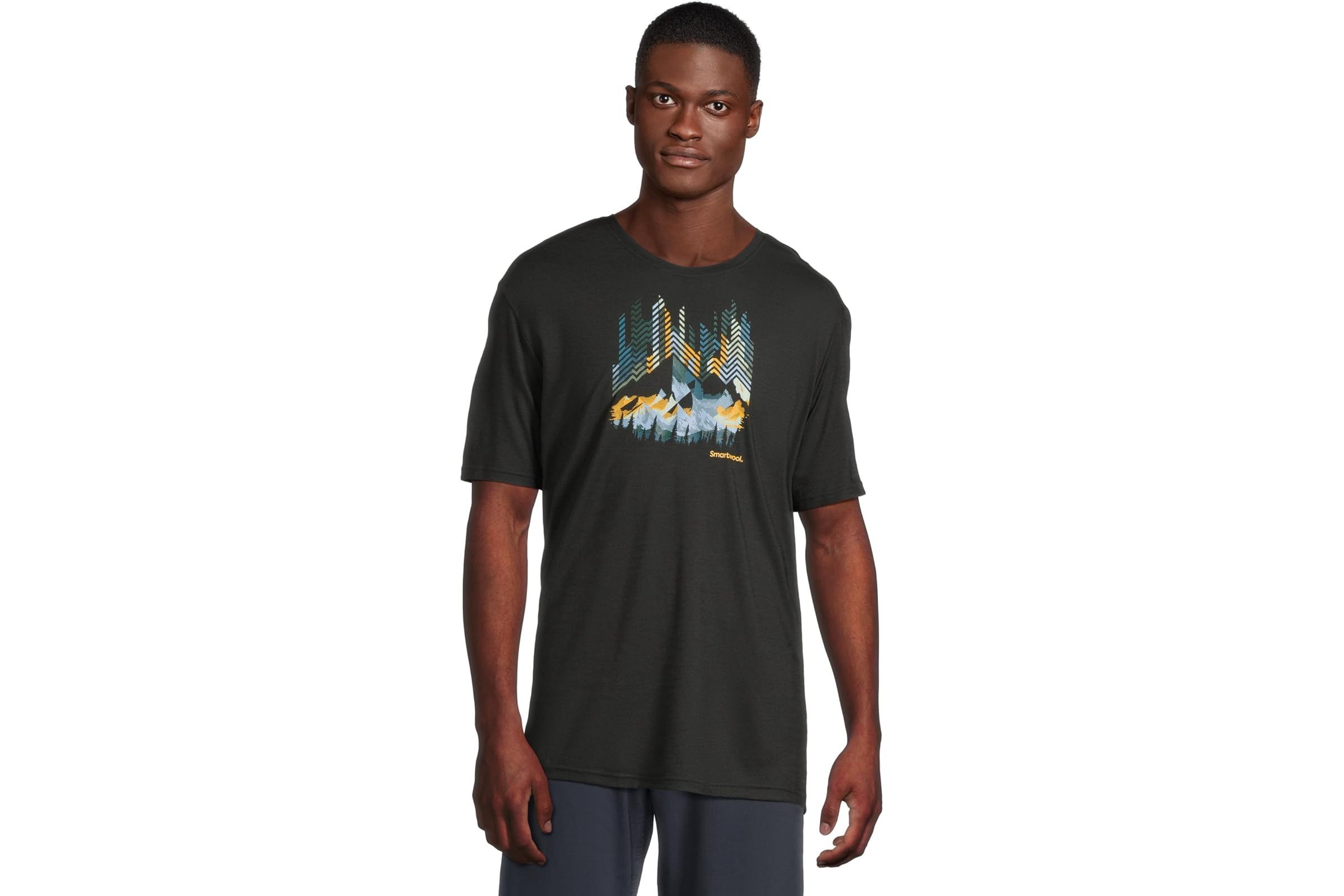 Мужская рубашка Smartwool Vital Peaks Active Short Sleeve Graphic Tee 14290₽
