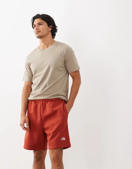 Мужские шорты The North Face Evolution Simple Dome, тёмно-красные