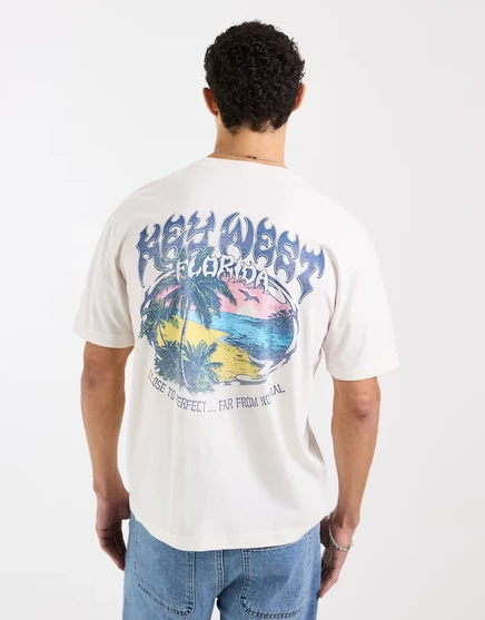Мужская футболка Hollister с принтом на спине, белая