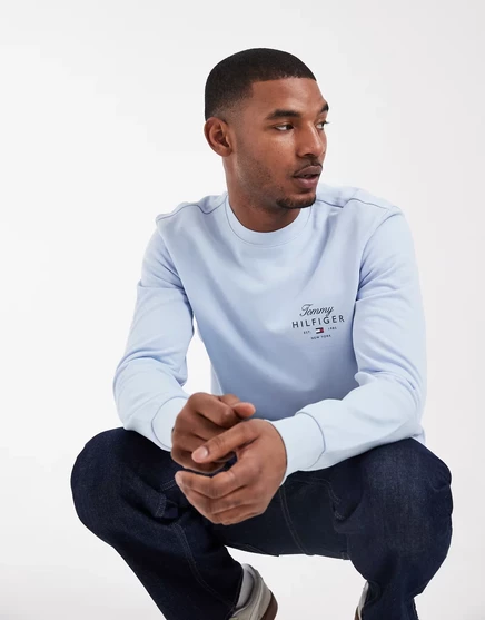 Мужской свитшот Tommy Hilfiger Script Stack, голубой