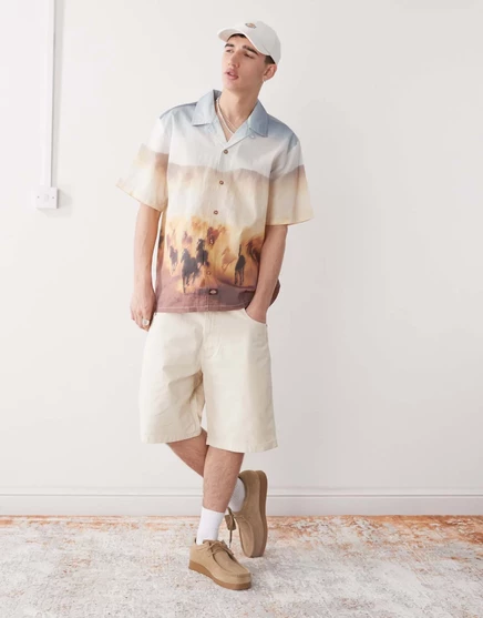 Рабочие шорты Dickies River Ranch бежевого цвета whitecap gray