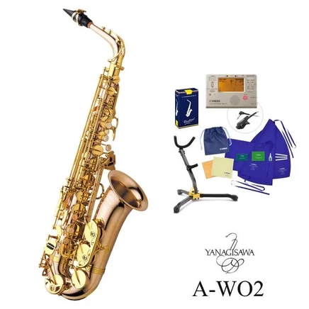 Альт-саксофон Yanagisawa A-WO2, бронзовый, комплект