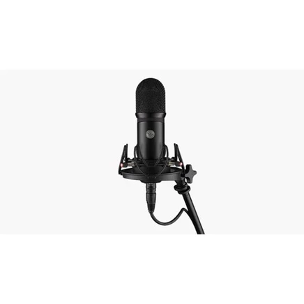 Конденсаторный микрофон Voyage Audio Spatial Mic Dante