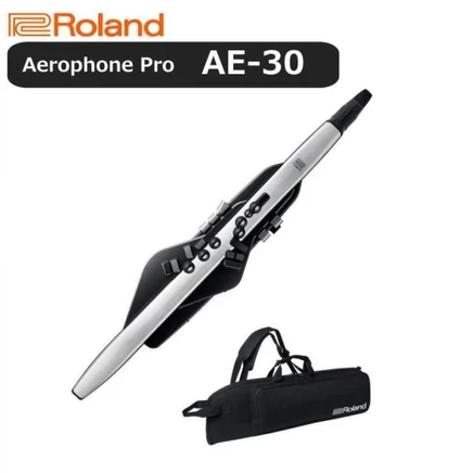 Цифровой духовой инструмент Roland Aerophone Pro AE-30