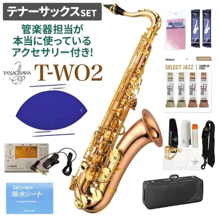Тенор-саксофон Yanagisawa T-WO2, набор