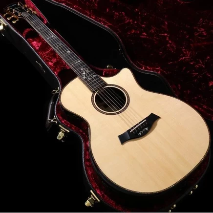 Акустическая гитара Taylor 914ce Special Edition