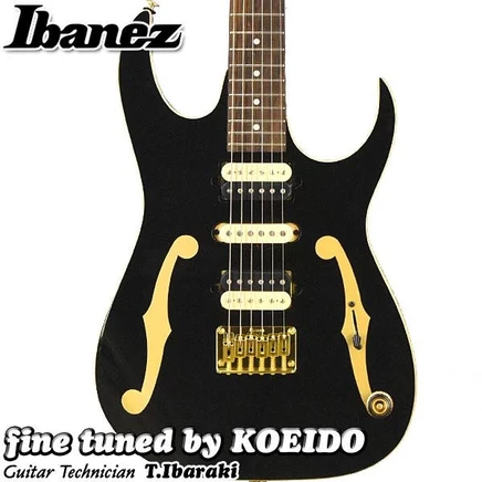Электрогитара Ibanez PGM50 BK, черная