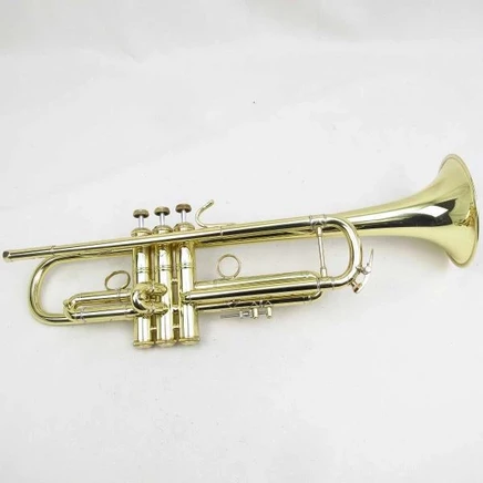 Б/у труба Bach New York 7 GL