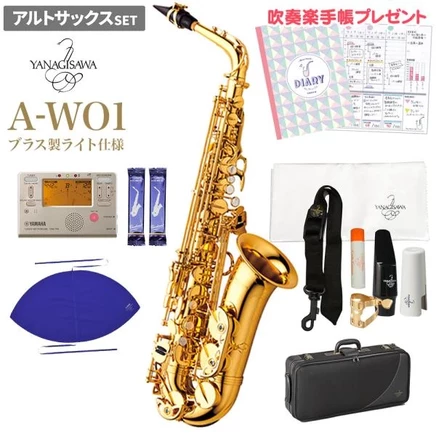 Альт-саксофон Yanagisawa A-WO1, набор