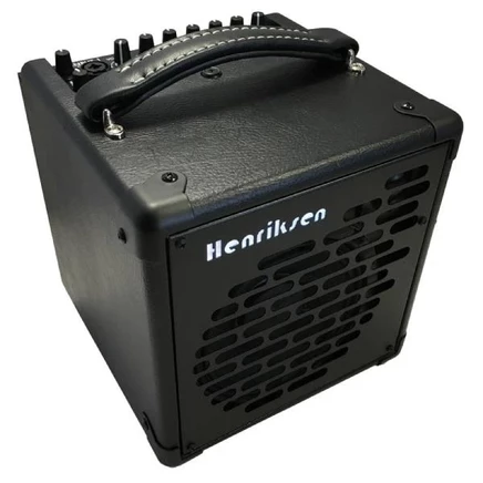 Комбоусилитель Henriksen The Bud SIX, 6″