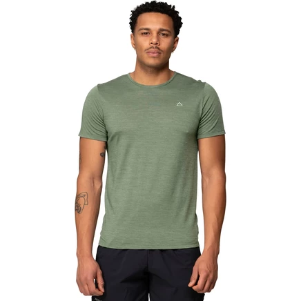 Мужская футболка Devold Active Tee 421A, темно-зеленая