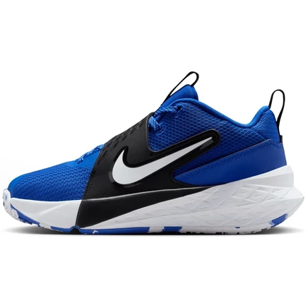 Детские кроссовки Nike Team Hustle D 12, синие