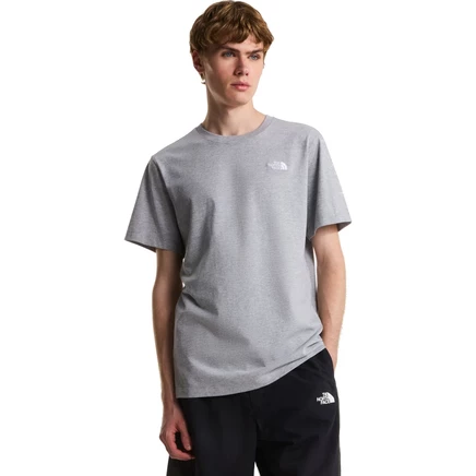 Мужская футболка The North Face Evolution Simple Dome, серая