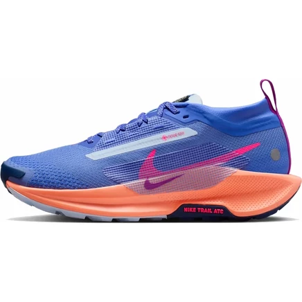 Женские кроссовки Nike Pegasus Trail 5 GORE-TEX, синие