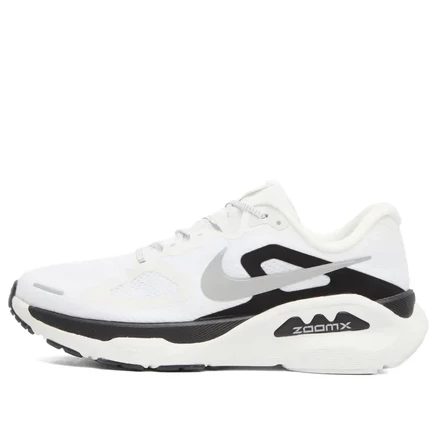 Мужские кроссовки Nike Structure Plus, белые/серебристые/черные