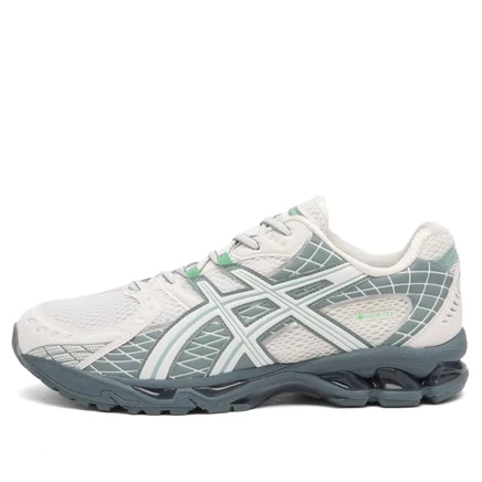Кроссовки Asics GEL-Nimbus 10.1 Gore Tex