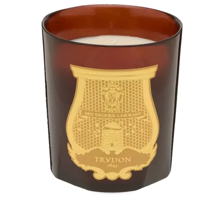 Ароматическая свеча Trudon Cire 270 г