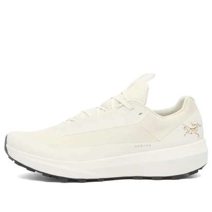Кроссовки Arc'teryx Norvan LD 4 из гортекса