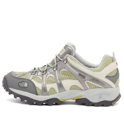 Серые кроссовки The North Face 06 Gore-Tex jade & silver metallic