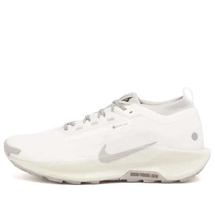 Кроссовки Nike Reactx Pegasus Trail 5 GTX SP white, grey & bone