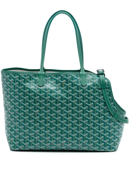 Переноска Goyard Pre-Owned Goyardine, зеленая