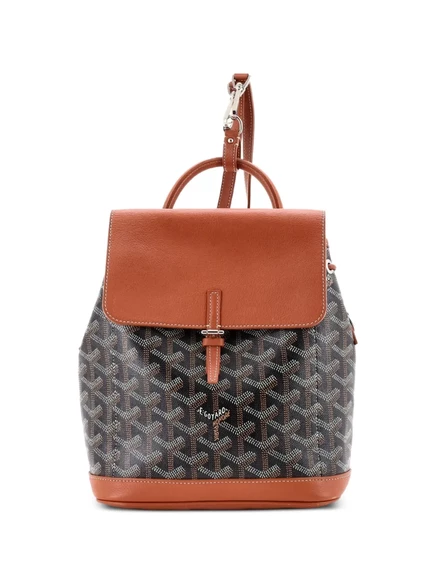 Женский мини-рюкзак Goyard Alpin из канваса, коричневый