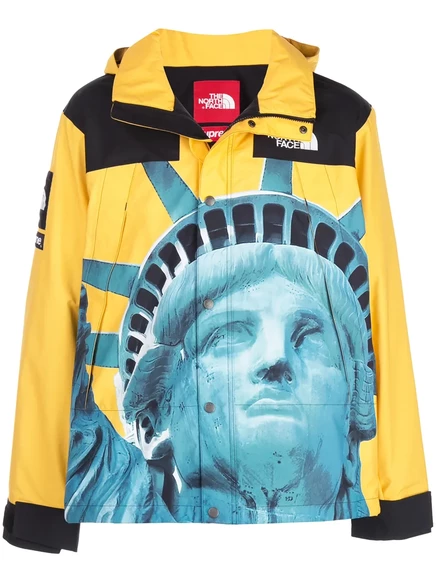 Мужская парка Supreme x The North Face Mountain, желтая