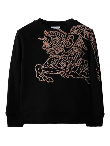 Толстовка для мальчиков Burberry Kids EKD, чёрная