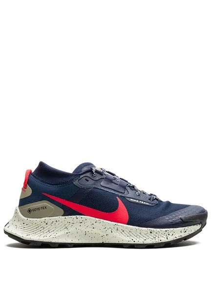 Кроссовки Nike Pegasus Trail 3 GORE-TEX 
