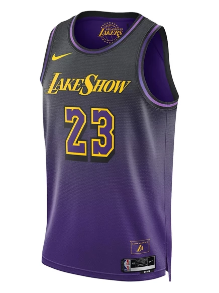 Мужская майка Nike LeBron Lakers City 2024/25, фиолетовая