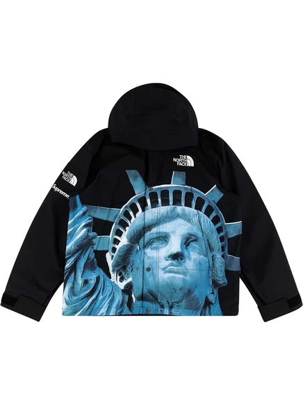 Куртка Supreme x The North Face со Статуей Свободы на Северной Стороне black