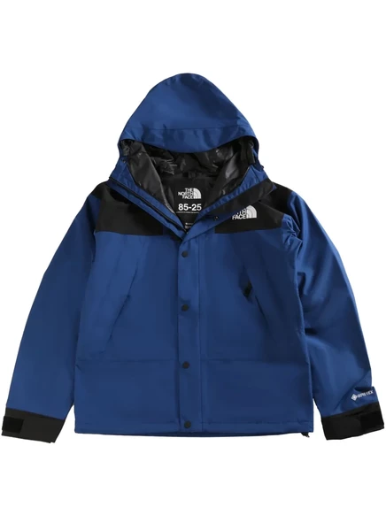 Мужская куртка The North Face Mountain с капюшоном, синяя