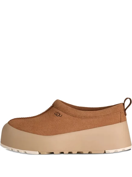 Женские тапочки UGG Tasman на платформе, коричневые