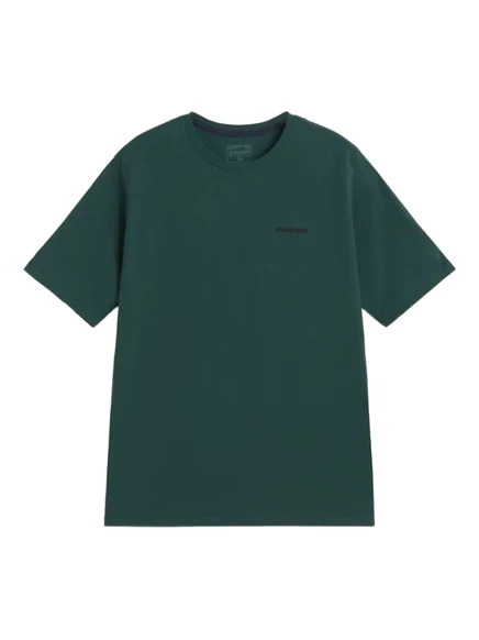 Футболка Patagonia с логотипом P-6 responsibili green