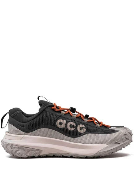 Кроссовки Nike ACG Mountain Fly 2 Low Gore-Tex  grey