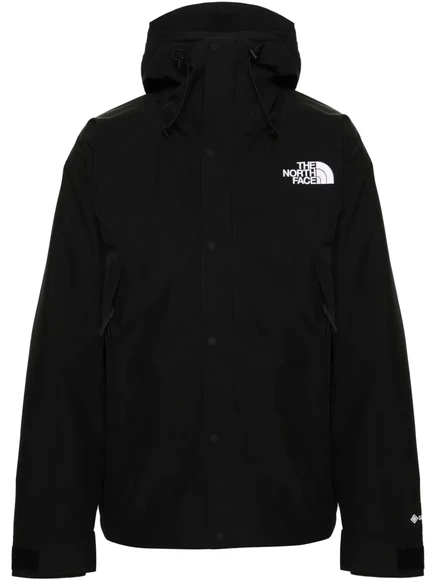 Мужская куртка с капюшоном The North Face Gore-Tex, черная