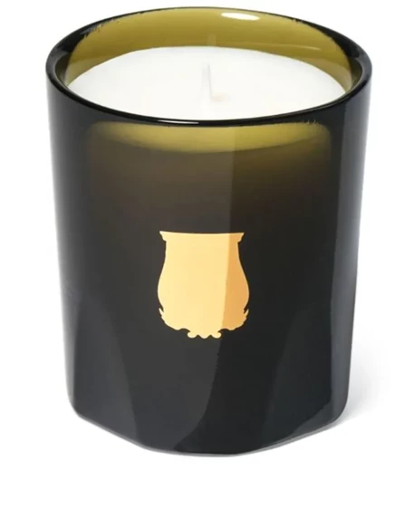 Ароматическая свеча Trudon Gabriel Petite 70 г, зеленая