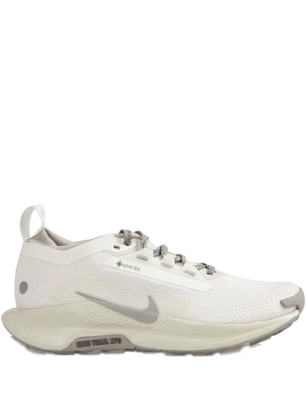 Кроссовки Nike PEGASUS TRAIL 5 GORE-TEX white