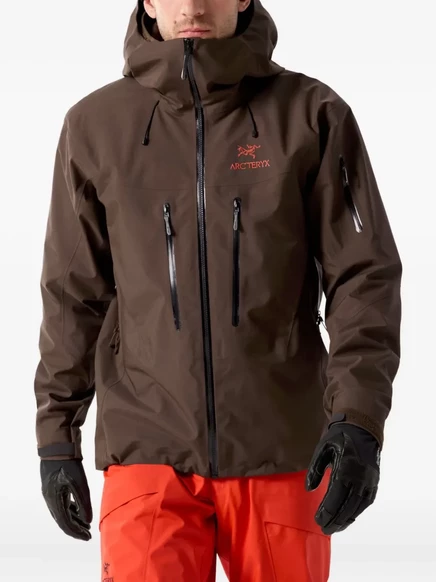 Мужская куртка Arc 'Teryx Alpha SV с капюшоном, коричневая