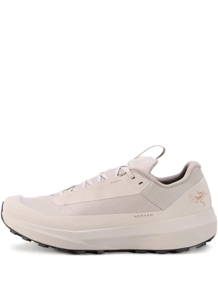 Мужские кроссовки Arc'teryx Norvan LD 4 GTX, нейтральные
