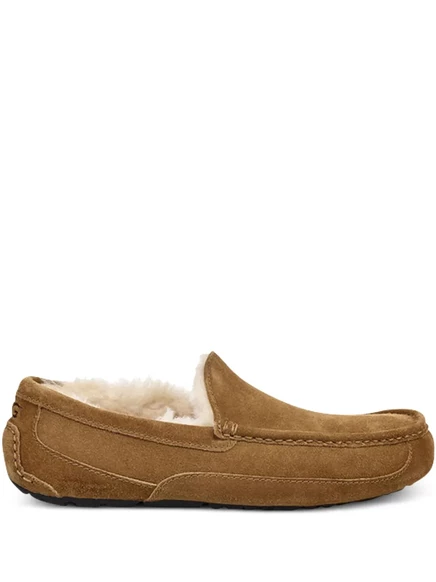 Мужские тапочки UGG Ascot замшевые, коричневые