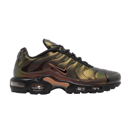 Кроссовки Nike Air Max Plus OG 'Scarab' 2022 коричневые