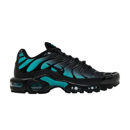 Кроссовки Nike Air Max Plus Black Dusty Cactus, черные