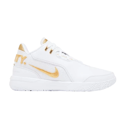 Кроссовки Nike Zoom LeBron NXXT Gen AMPD Equity, разноцветные