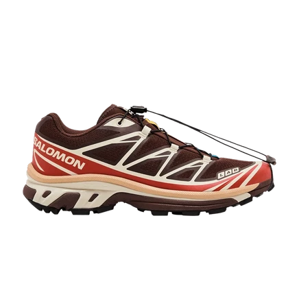 Salomon XT-6 