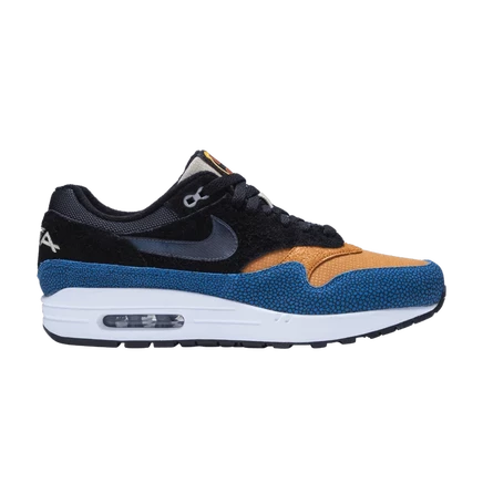 Кроссовки Nike Air Max 1 «Swipa» De'Aaron Fox, разноцветные