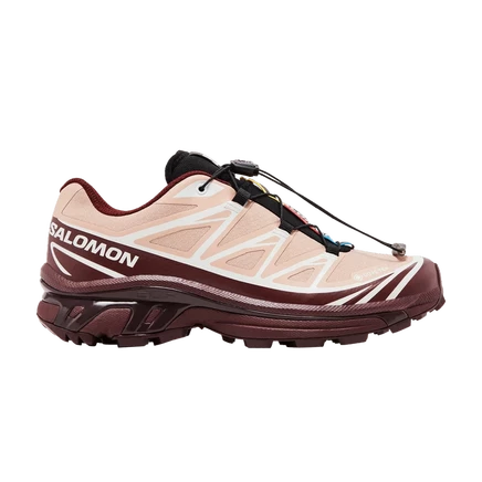 Кроссовки Salomon XT-6 GORE-TEX, розовые