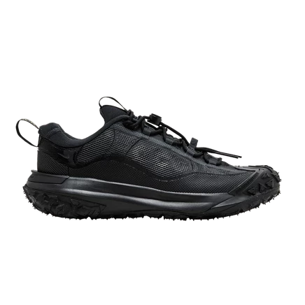 Кроссовки Nike ACG Mountain Fly 2 Low GORE-TEX, темно-серые