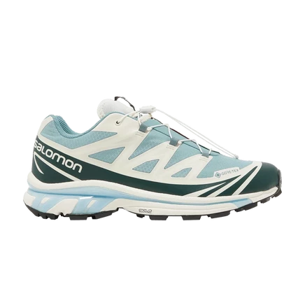 Кроссовки Salomon XT-6 GORE-TEX Trellis, синие